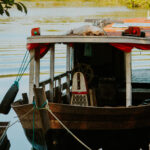 AMAZONAS-17