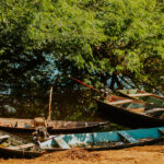AMAZONAS-22