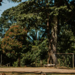 AMAZONAS-9
